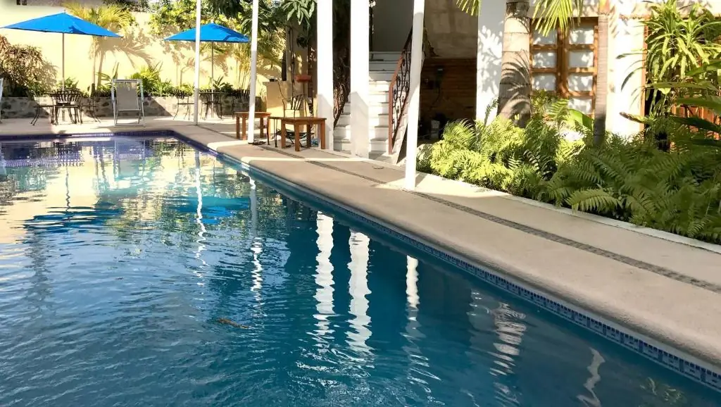 Pool and greenery at Hotel La Casa de las Cocadas